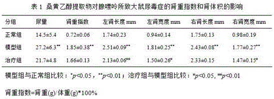 Phellinus igniarius alcohol extract and application thereof in uremia medicine