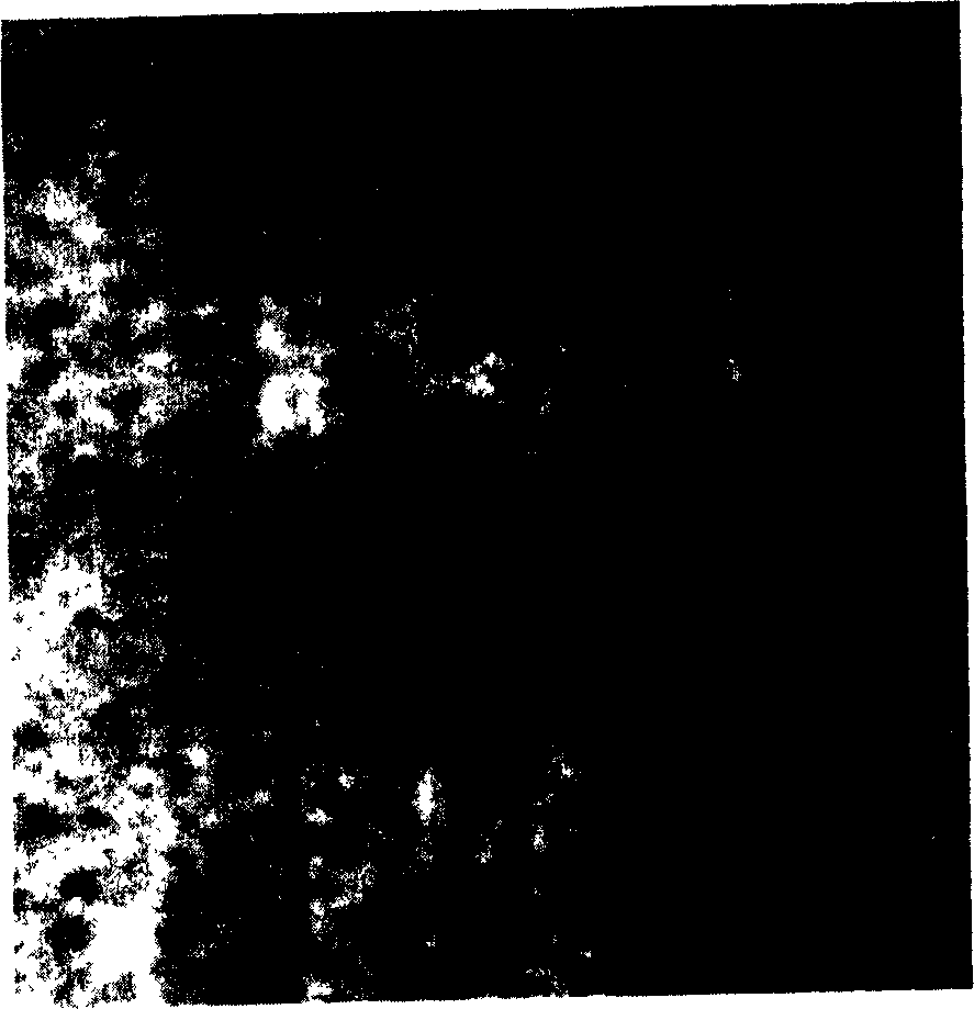 Method for preparing lube oil detergent of calcium nitrate in high base number