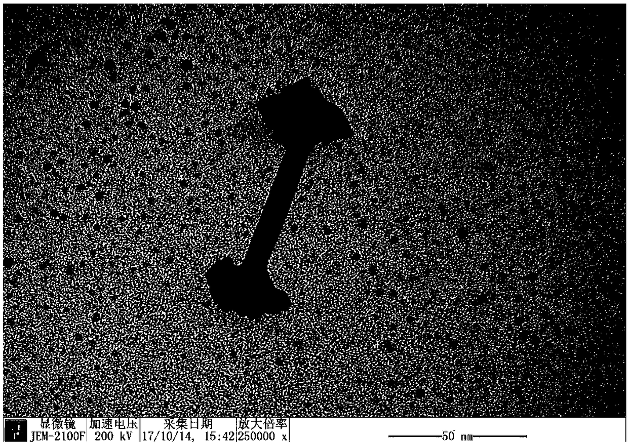 Surface plasmon photocatalyst with broad spectrum absorption and preparation method thereof