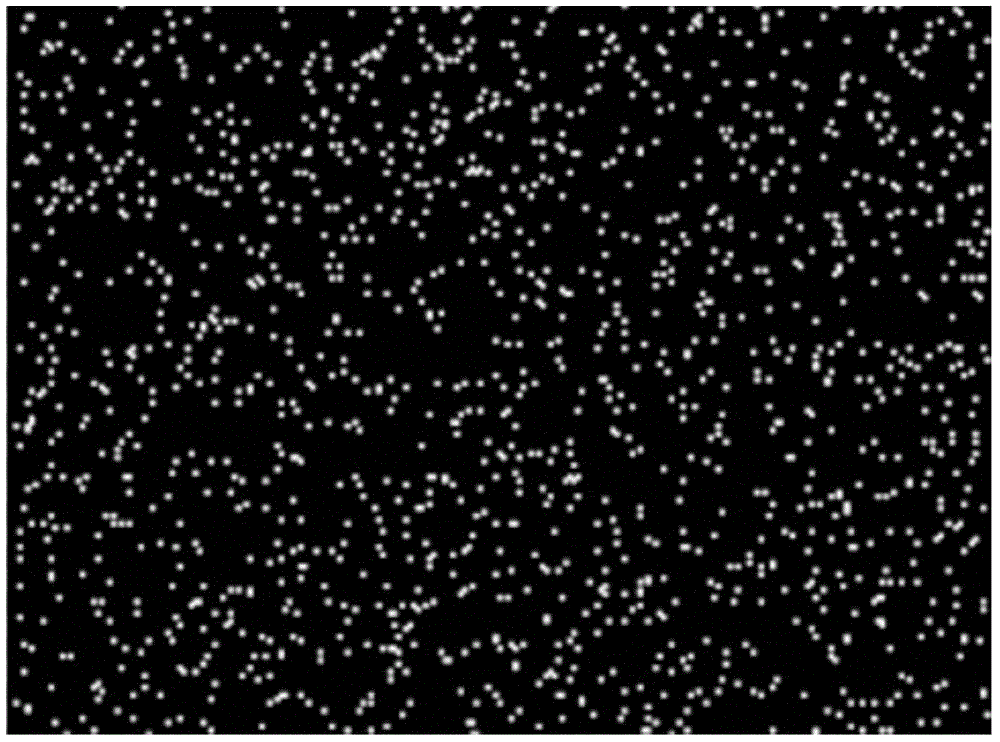 Method for preparing halloysite/epoxy composite coating capable of controlling release of corrosion inhibitor by pH response