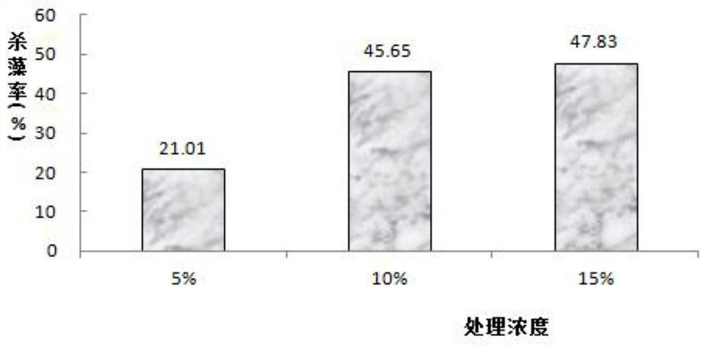 A kind of Bacillus subtilis and its application in aquaculture