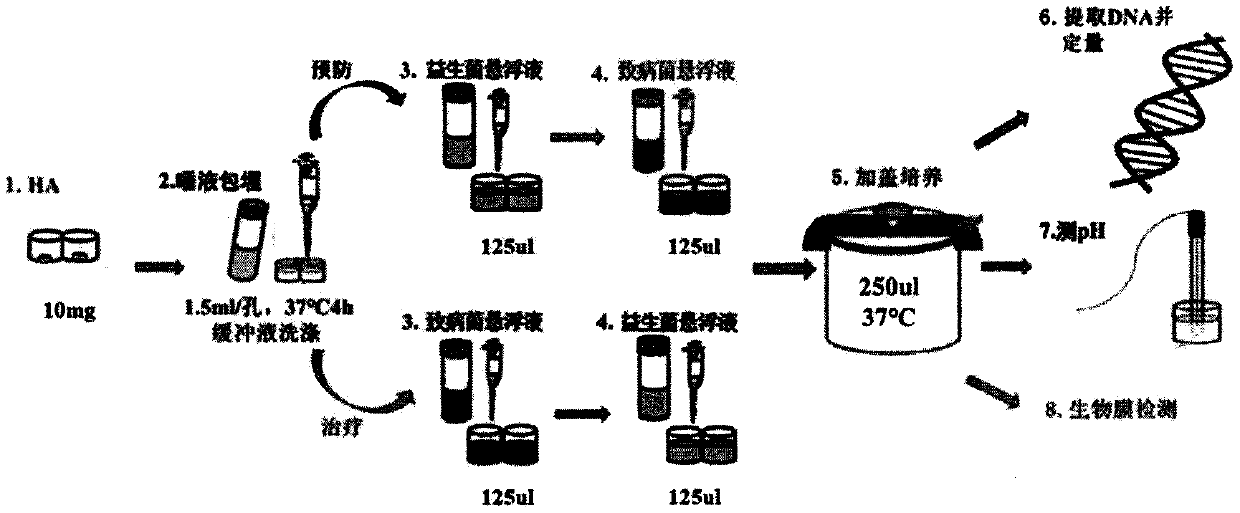 Pharmaceutical composition and food for preventing or treating oral diseases