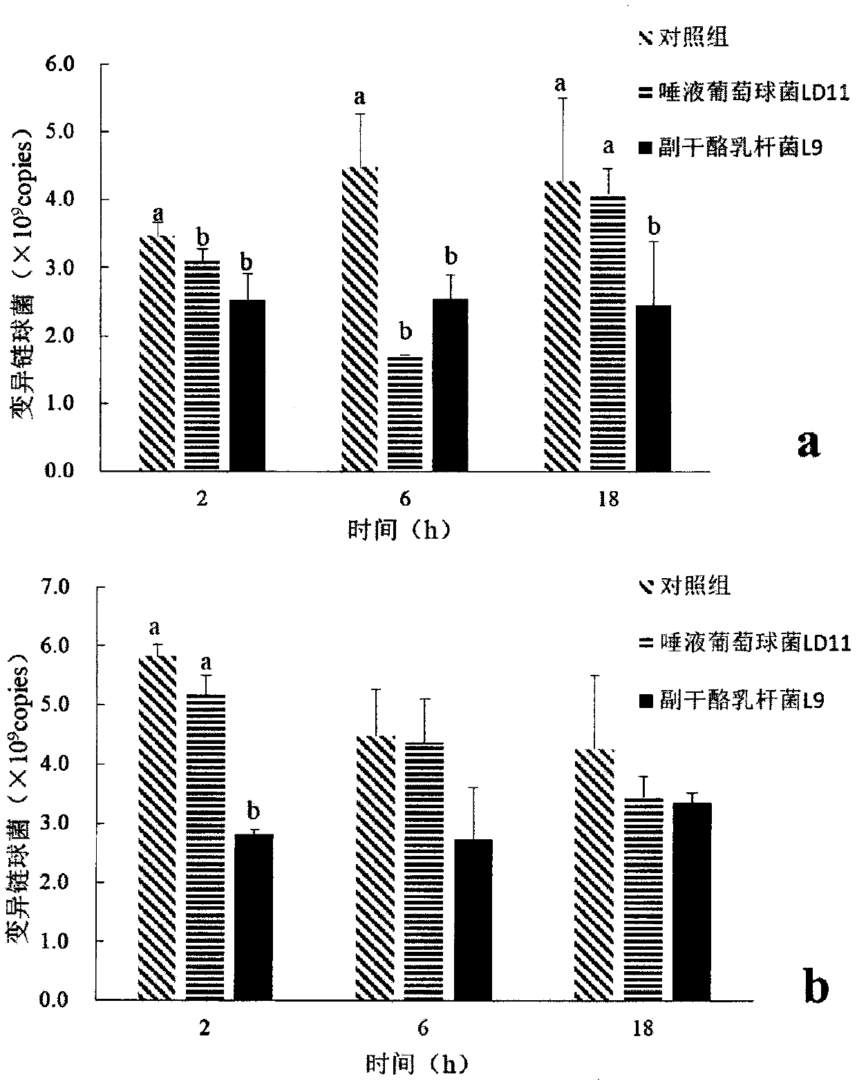 Pharmaceutical composition and food for preventing or treating oral diseases