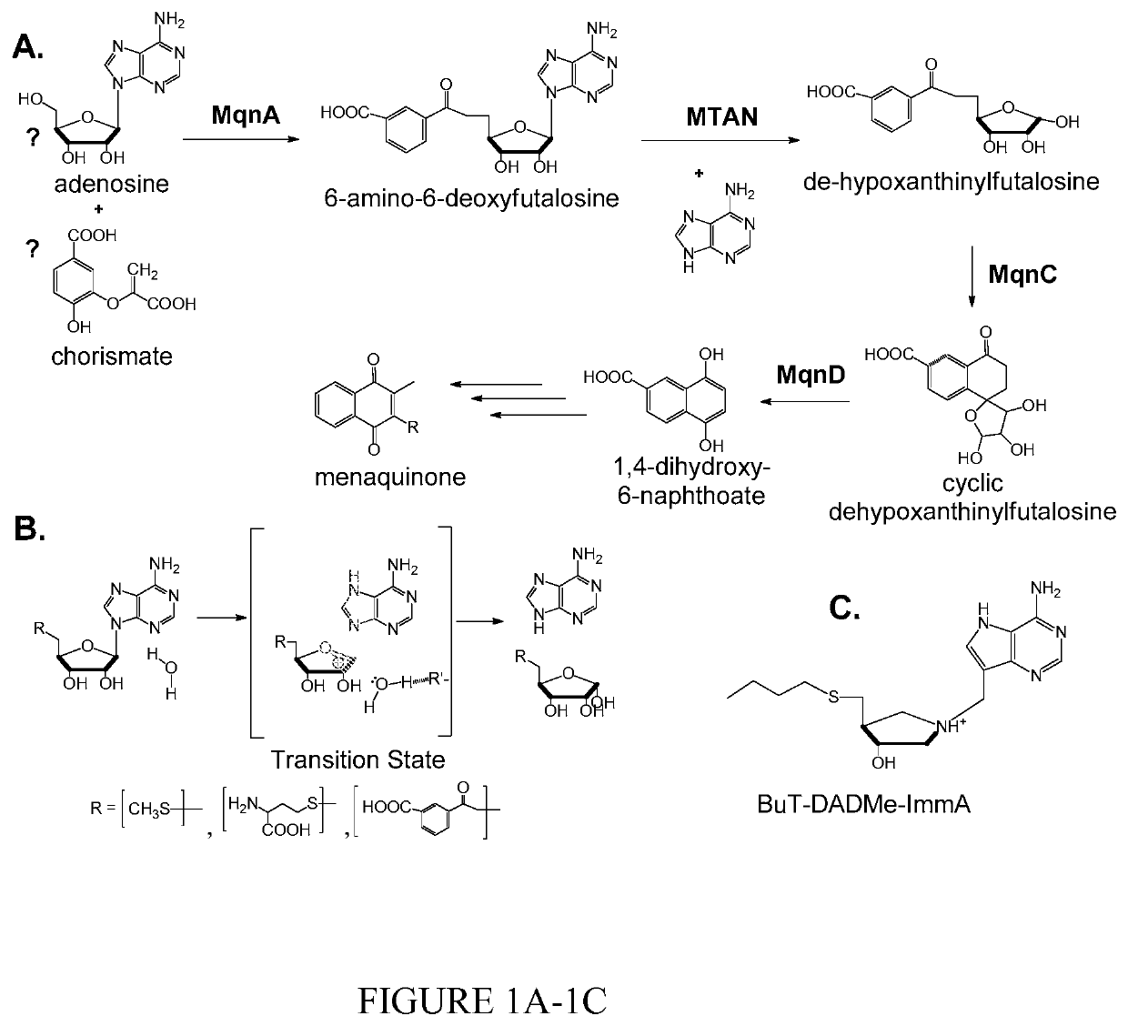 Treatment of helicobacter pylori infections