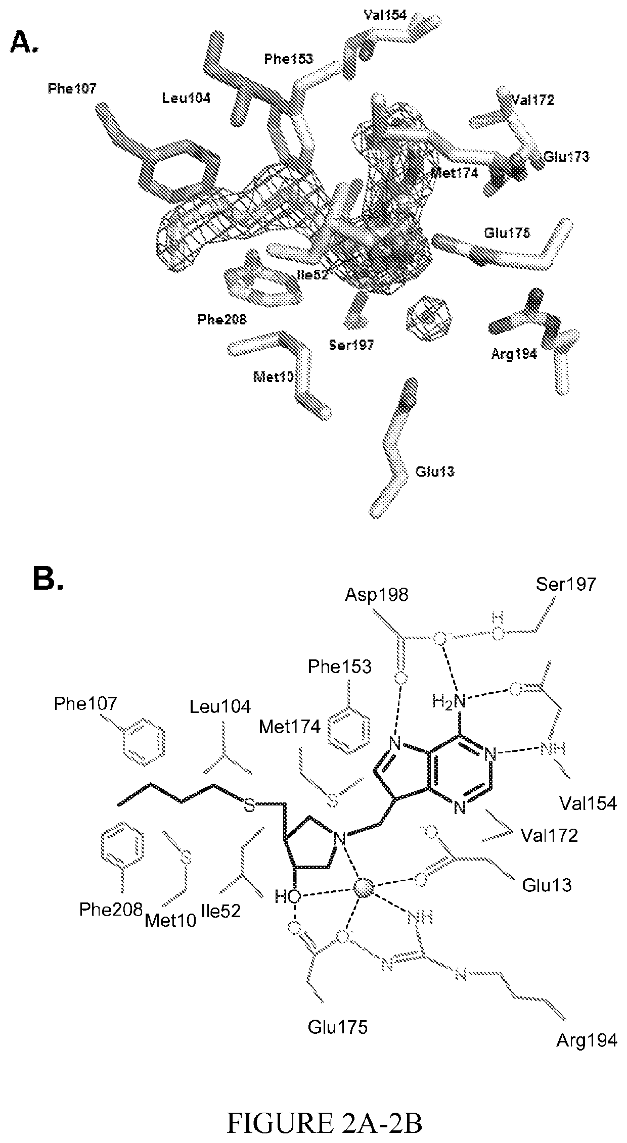 Treatment of helicobacter pylori infections