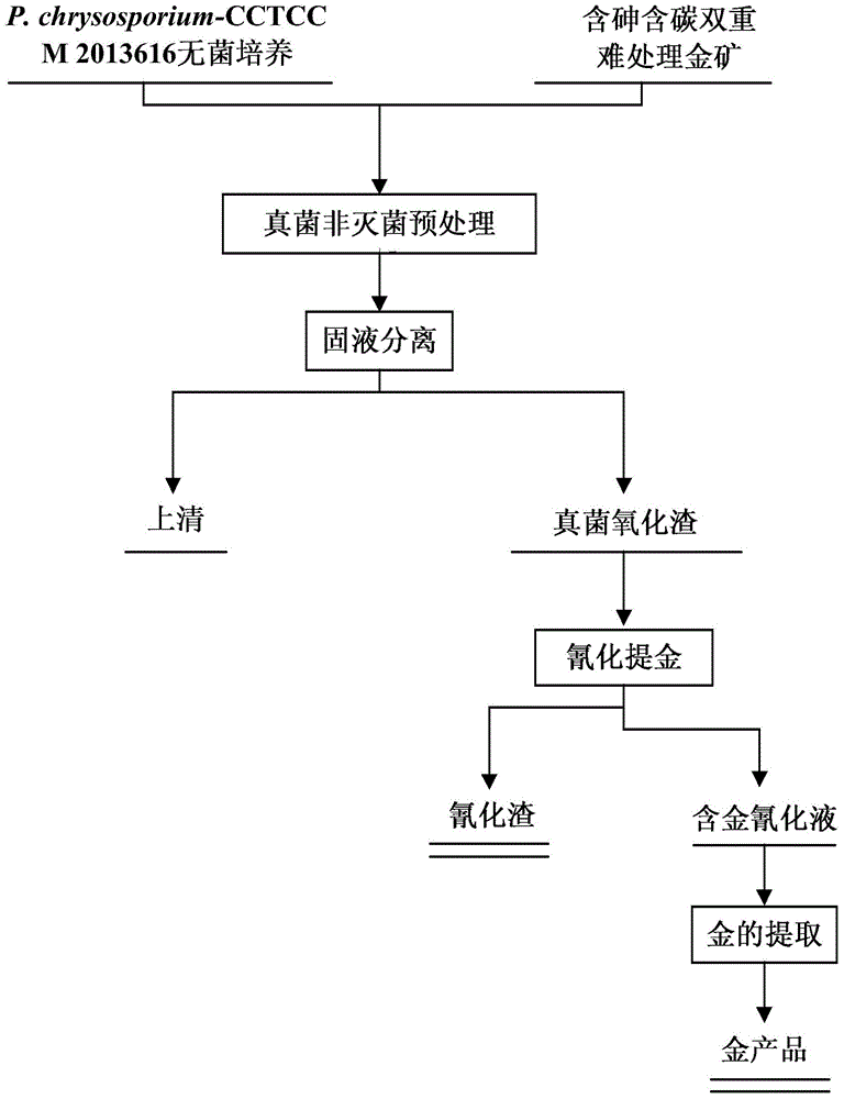 Fungus pre-oxidization method for arsenic-containing and carbon-containing double refractorygoldore