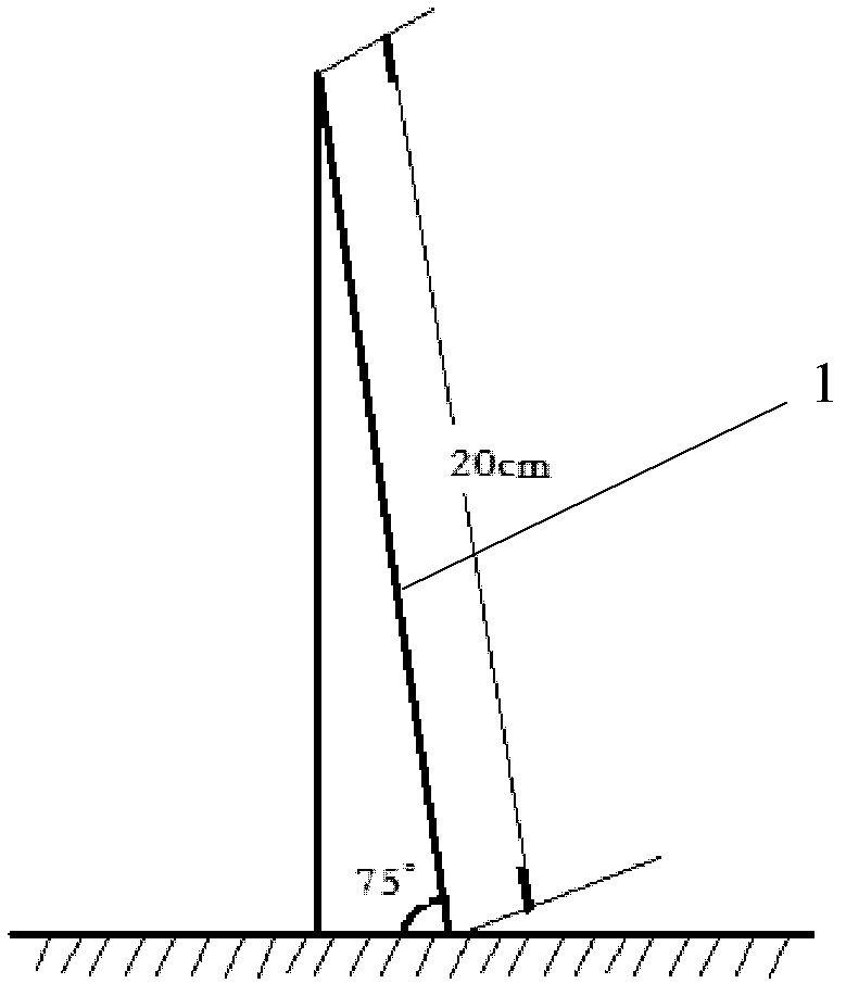 Water-soluble hot melt adhesive for wafer bonding in crystal processing process and preparation method thereof