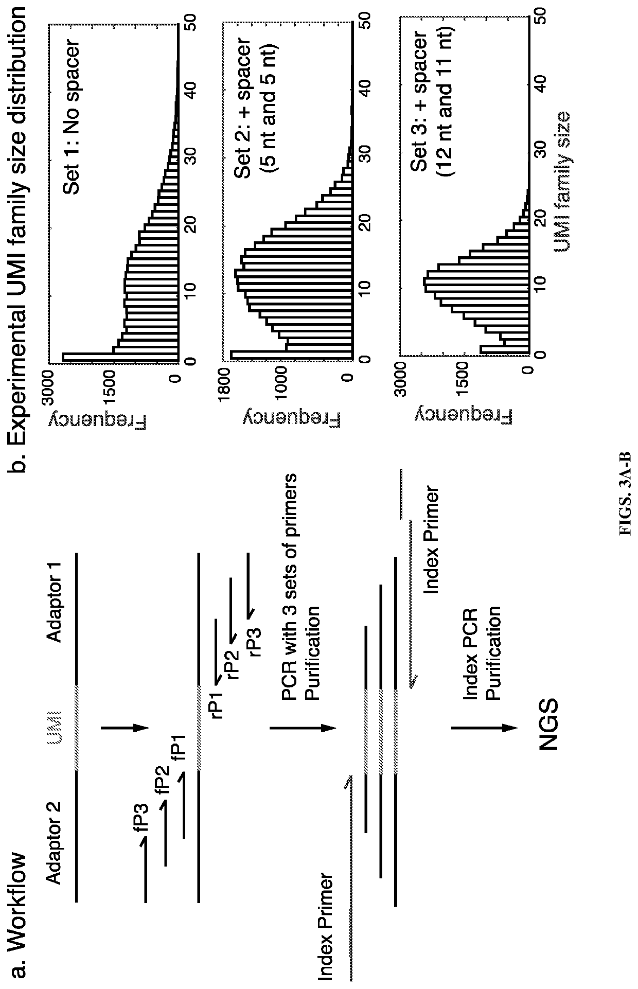 Quantitative amplicon sequencing for multiplexed copy number variation detection and allele ratio quantitation