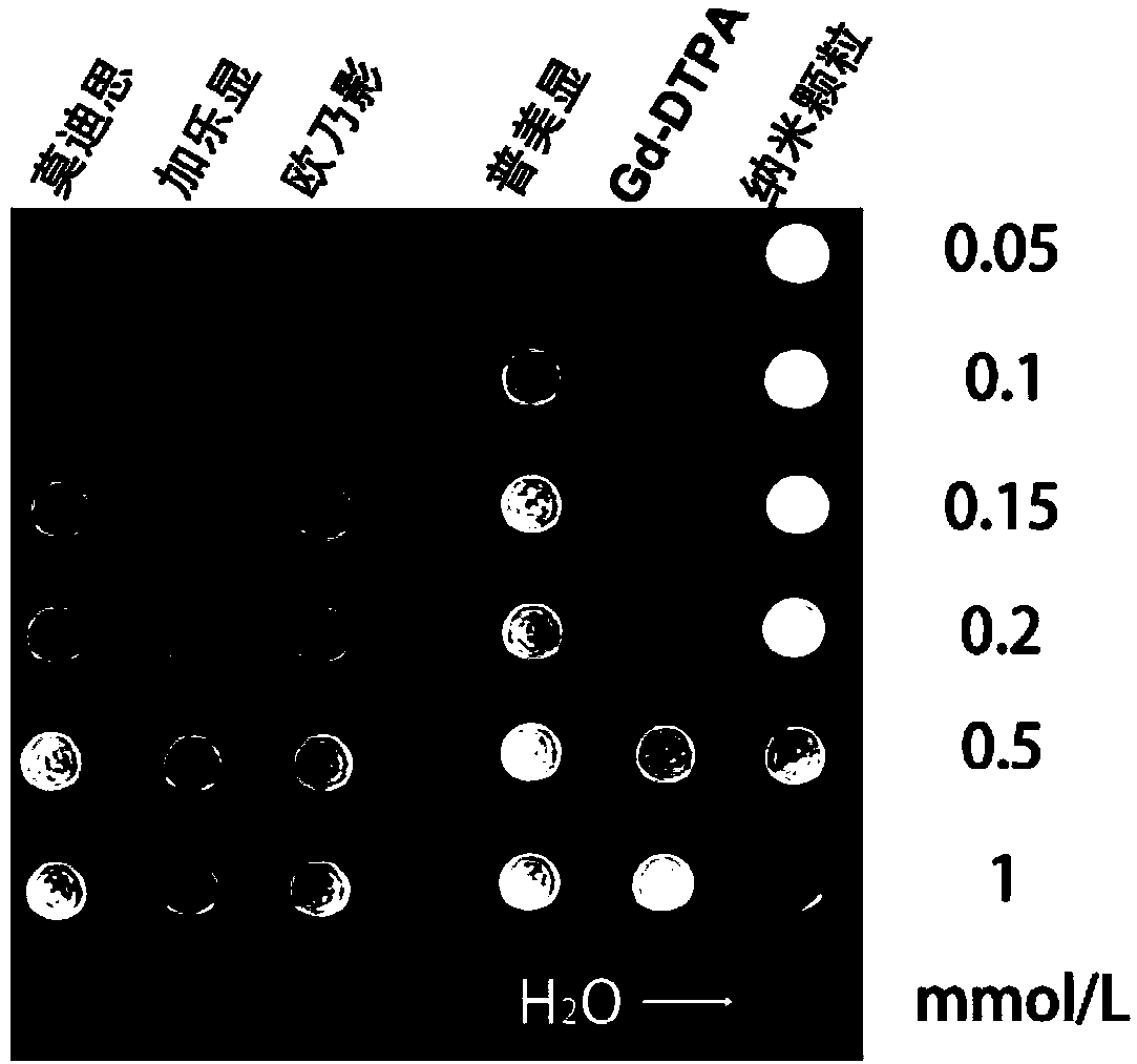 Rare earth-based nanoparticle magnetic resonance contrast agent and preparation method thereof