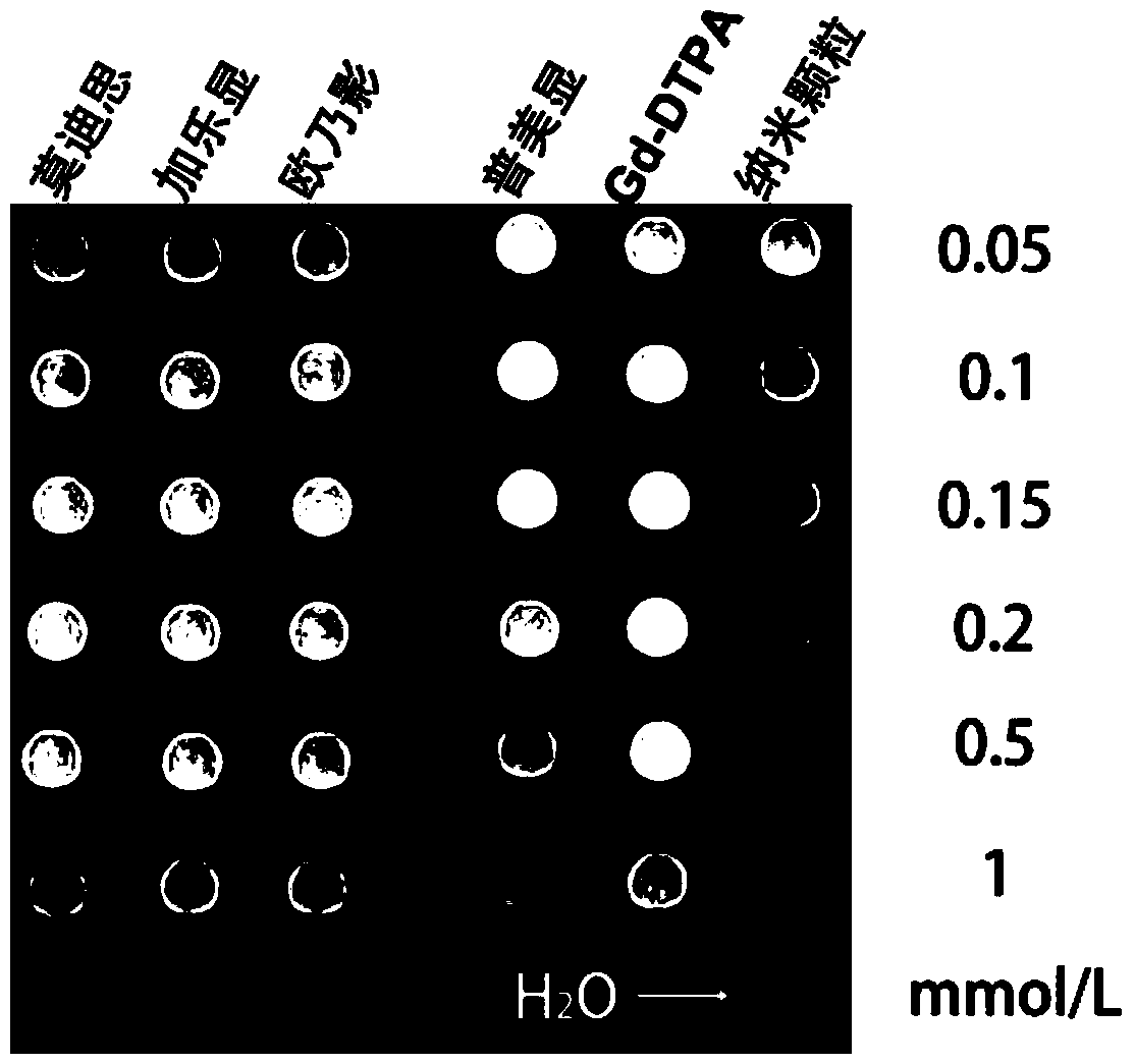 Rare earth-based nanoparticle magnetic resonance contrast agent and preparation method thereof