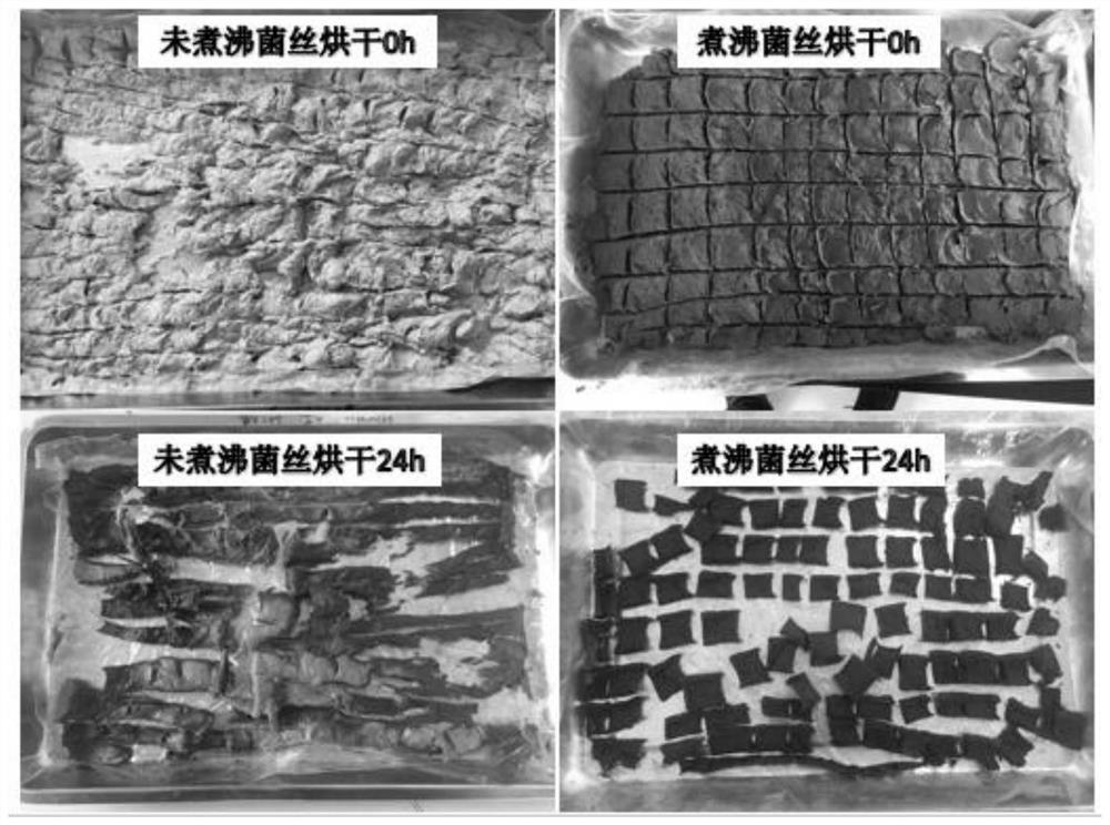 Novel preparation method of coriolus versicolor polysaccharopeptide