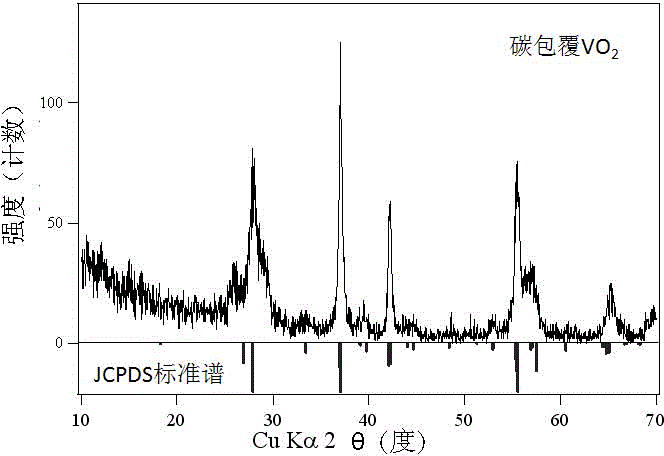 Carbon-coated vanadium dioxide nanoparticles and preparation method thereof