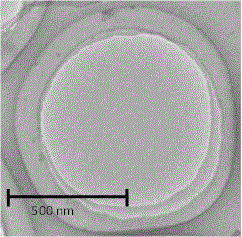 Preparation method for multilayer lipid vesicles packaging forskolin