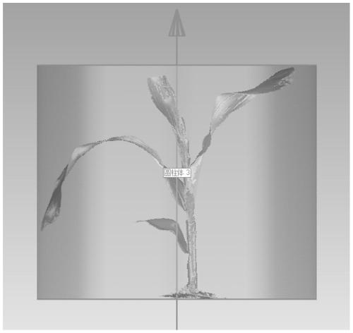 Method and system for acquiring outdoor plant phenotypic data