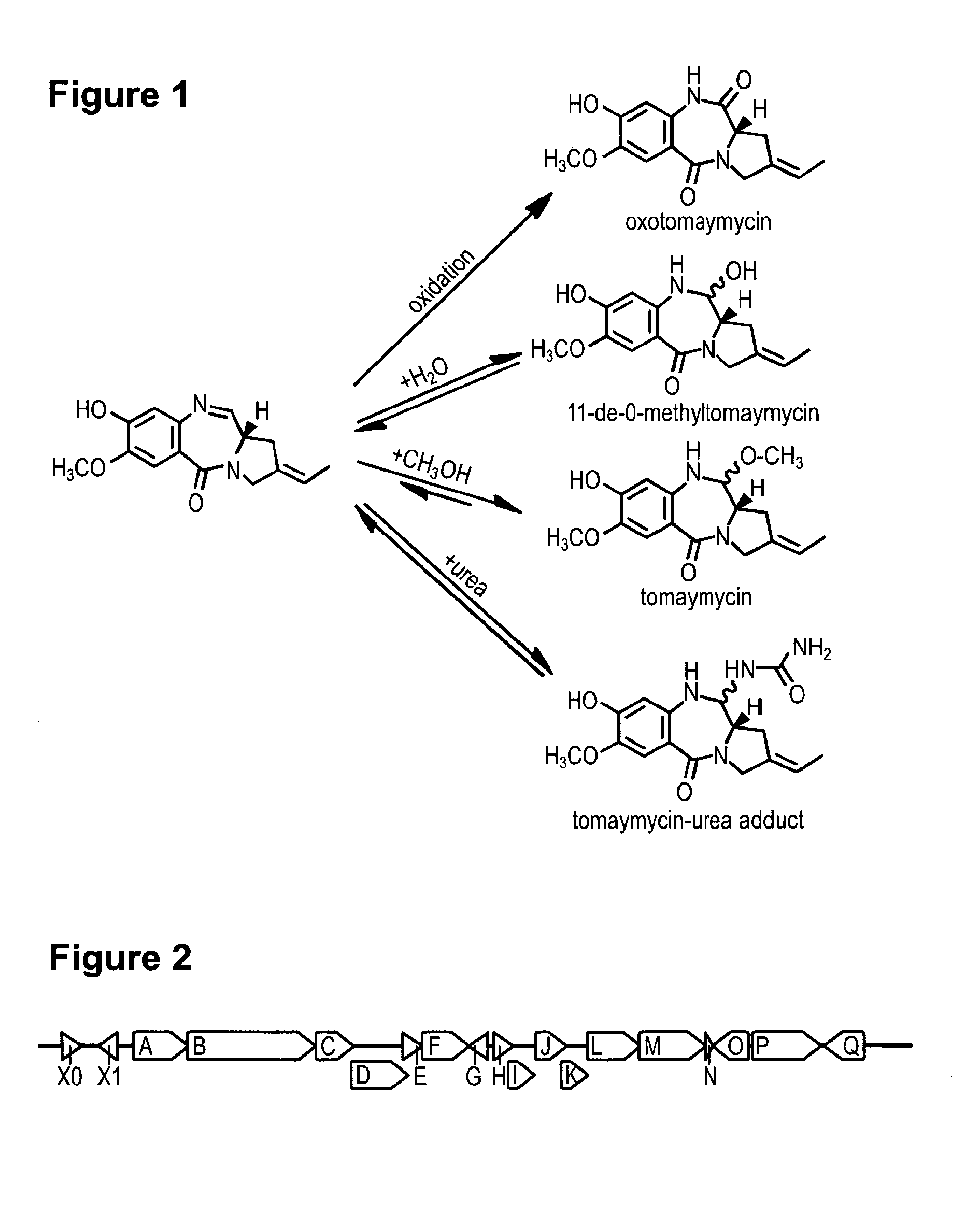 Method for Producing Recombinant 11-De-O-Methyltomaymycin