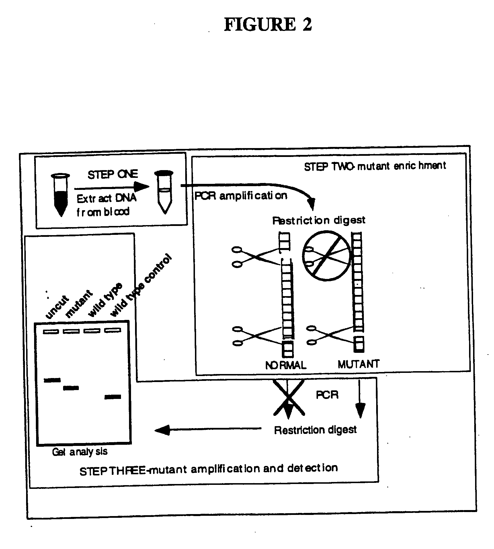 Detection of extracellular tumor-associated nucleic acid in blood plasma or serum using nucleic acid amplification assays