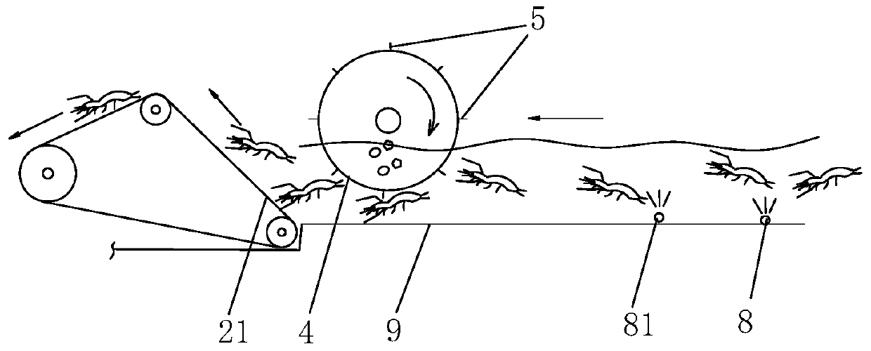 Processing method of shelled shrimp