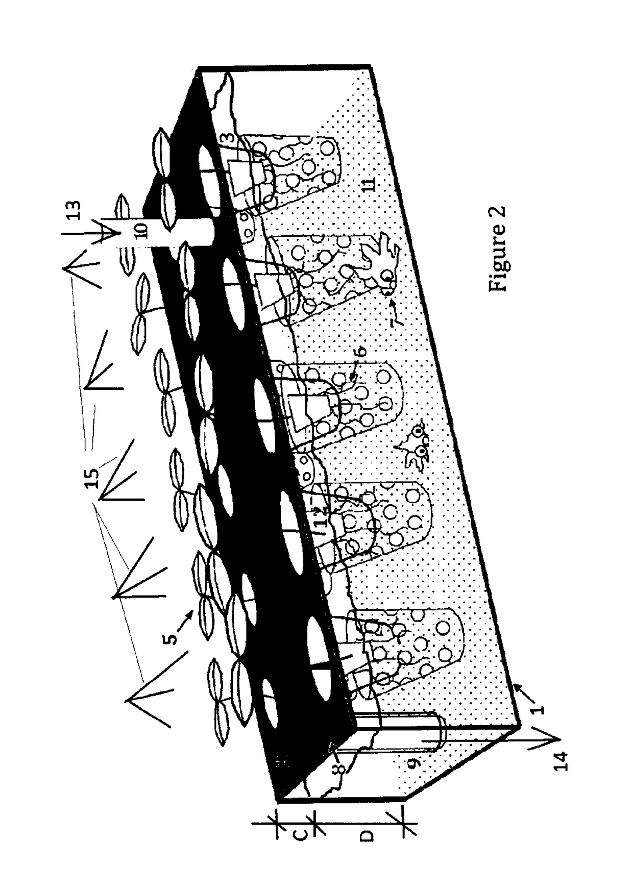 Vertical indoor eco-system