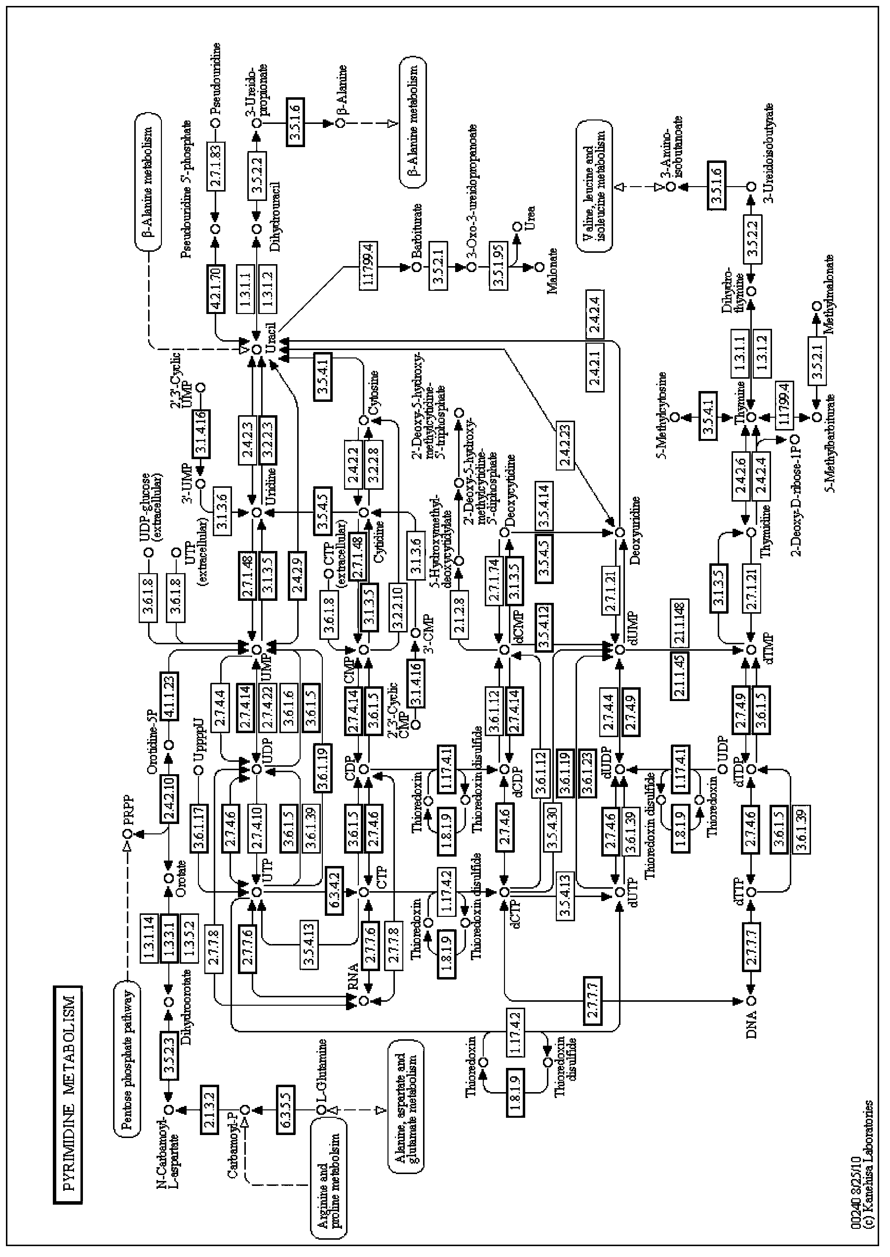 Cordyceps Chinese Hirsutella nucleoside diphosphokinase, coding gene and application thereof