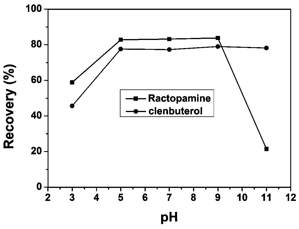 Magnetic carbon nanotube and method for extracting lean meat essence from pork