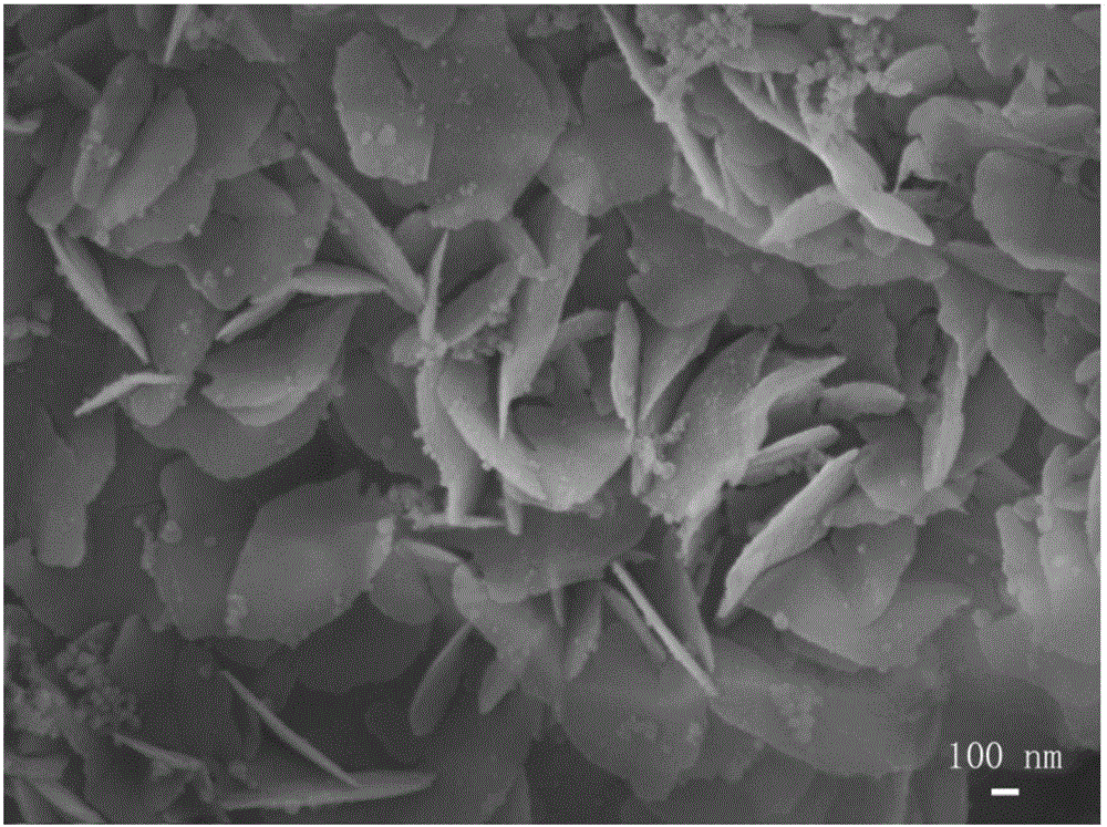 Preparation method of B4C nanosheet and B4C nanosheet