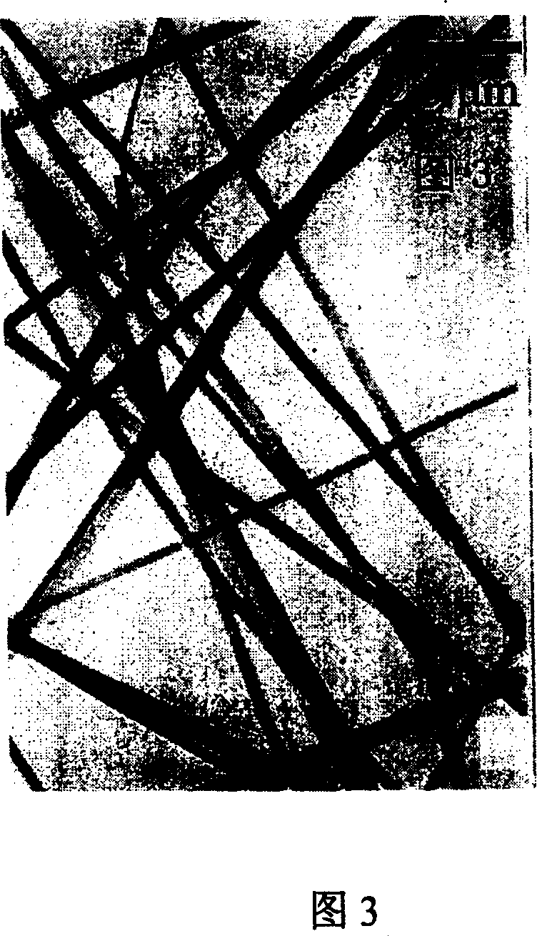 Tactic zinc oxide granular one dimension mesoporous nano belt and precursor and its preparing method