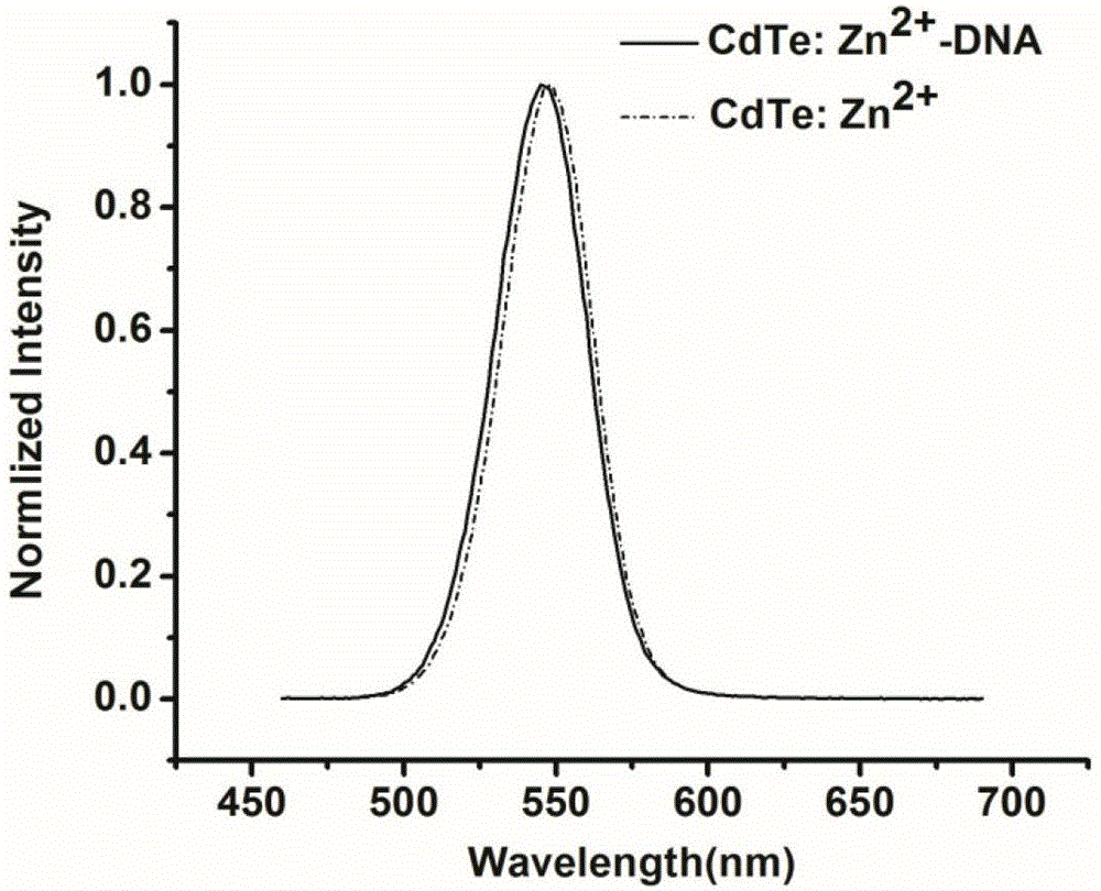 One-step method for synthesizing DNA functionalized Zn doped CdTe quantum dot