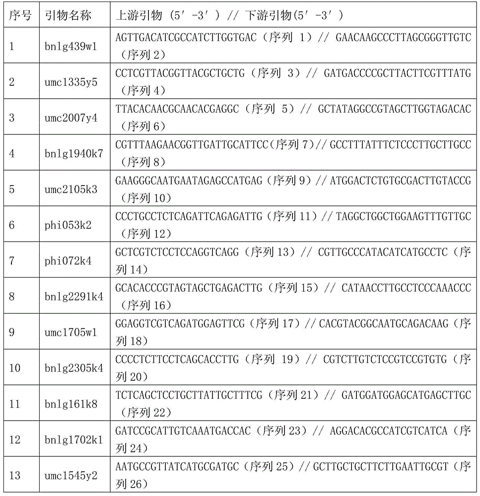 Jingke 528 three-line mating hybrid seed production method