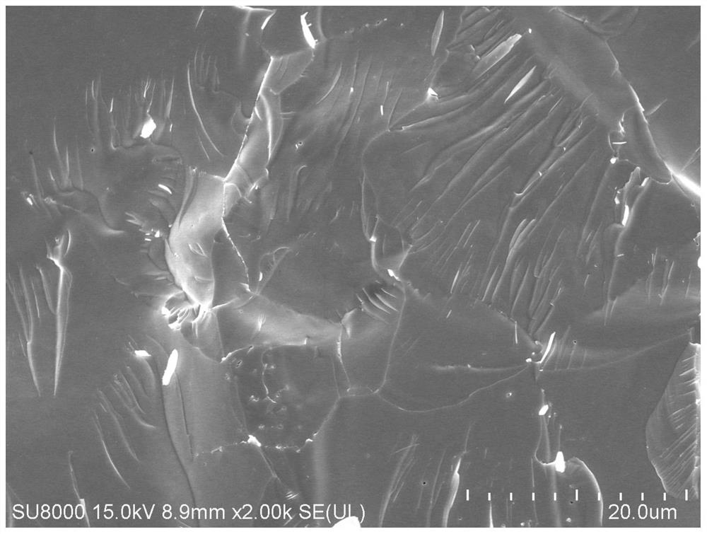 BiAgSeS-based bulk thermoelectric material with nano layered crystal grain structure and preparation method