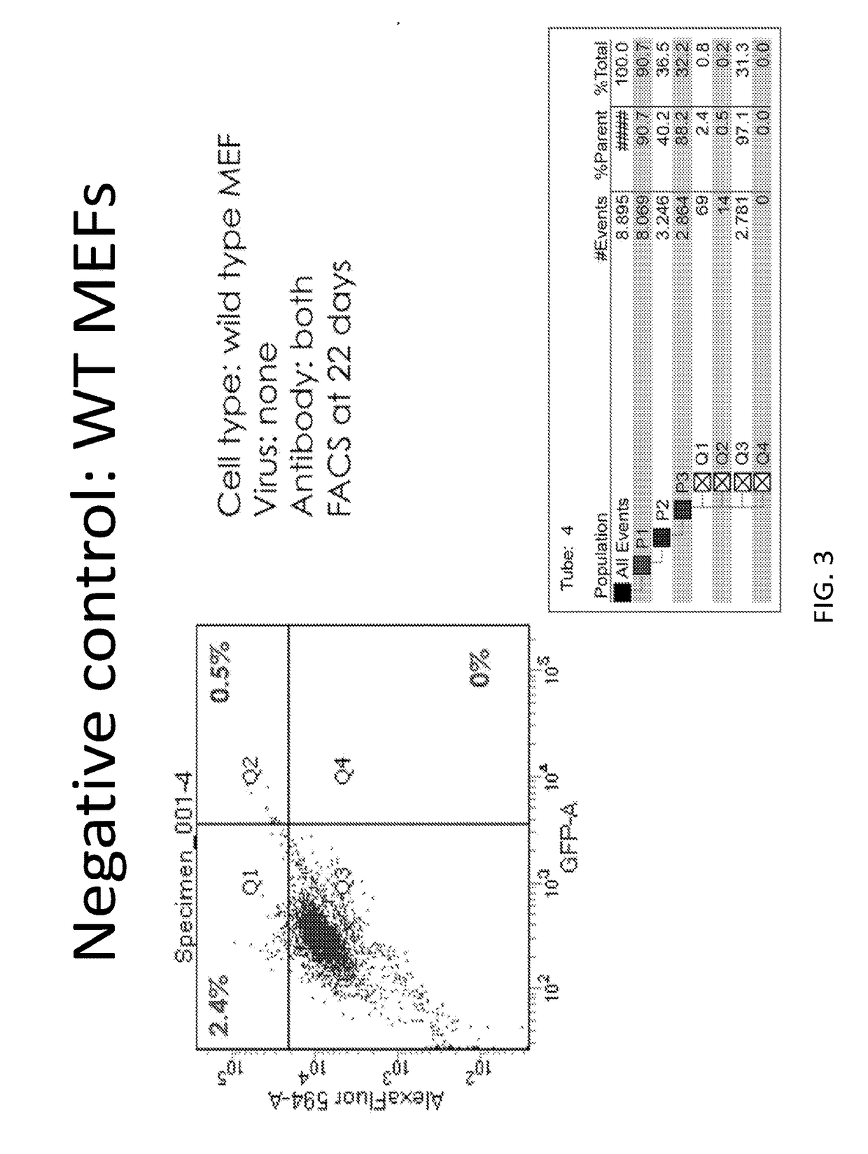 p63 INACTIVATION FOR THE TREATMENT OF HEART FAILURE