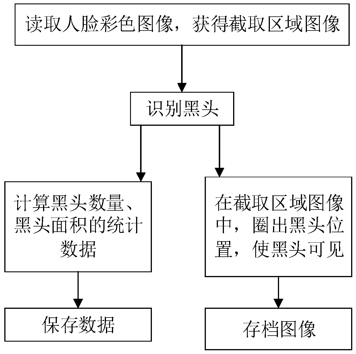 Blackhead recognition processing method and system