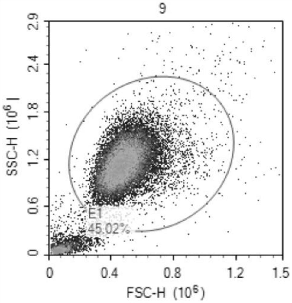 Application of the reagent for detecting the expression of g protein-coupled receptor 18 in the preparation of reagents for sepsis diagnosis, disease course monitoring and prognosis judgment