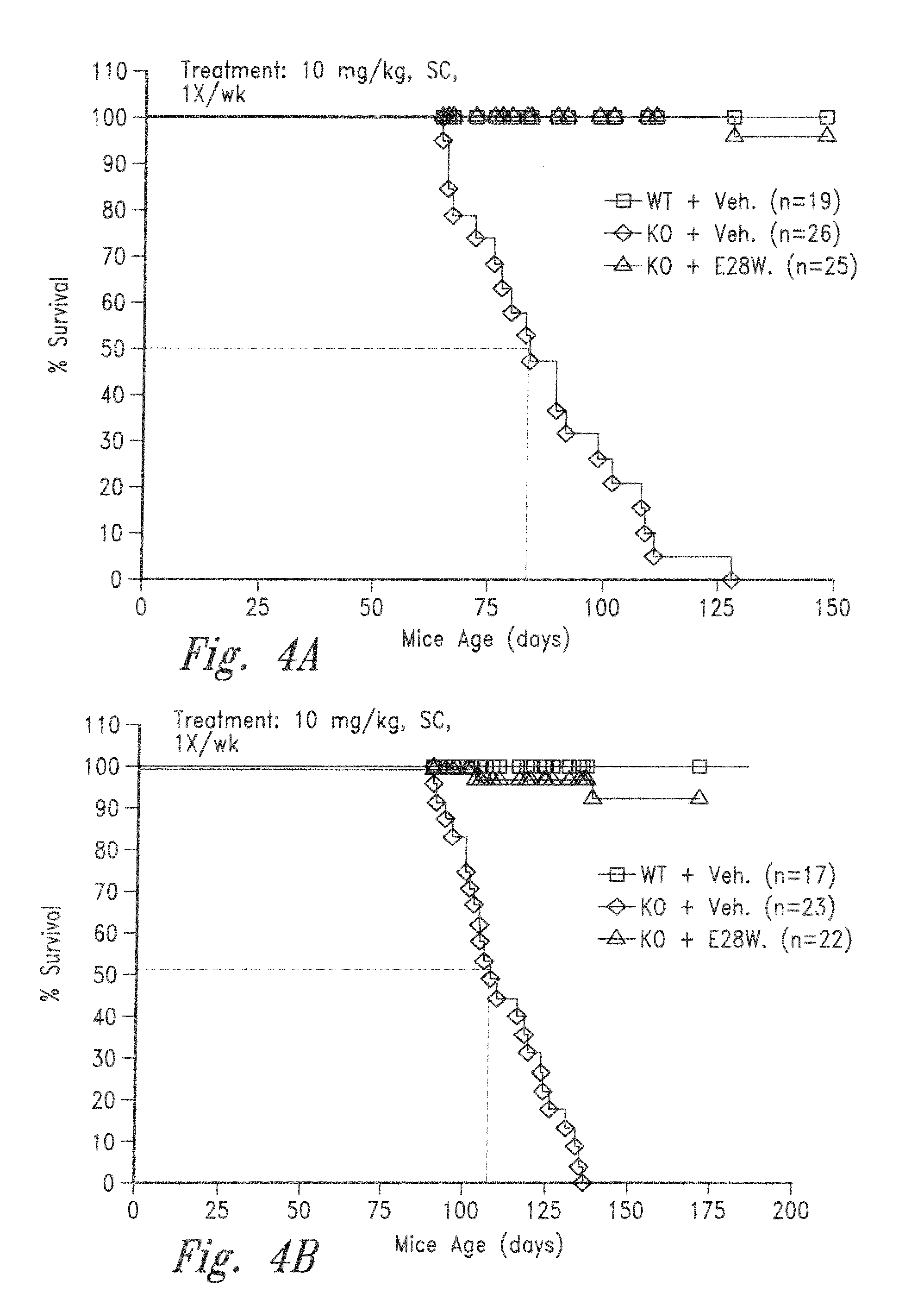 Variant activin receptor polypeptides and uses thereof