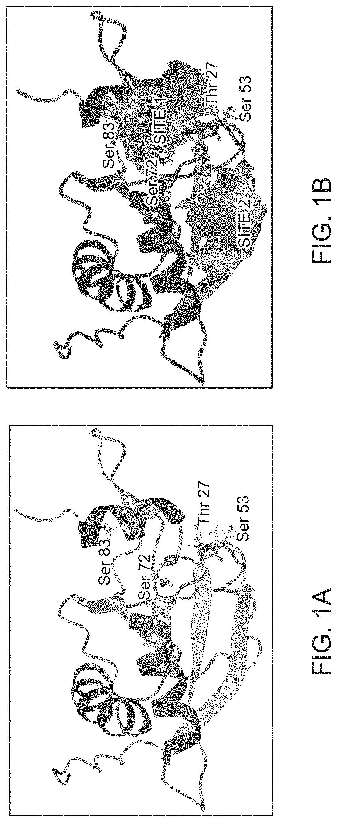 Composition and method for treatment of diseases associated with central nervous system inflammation