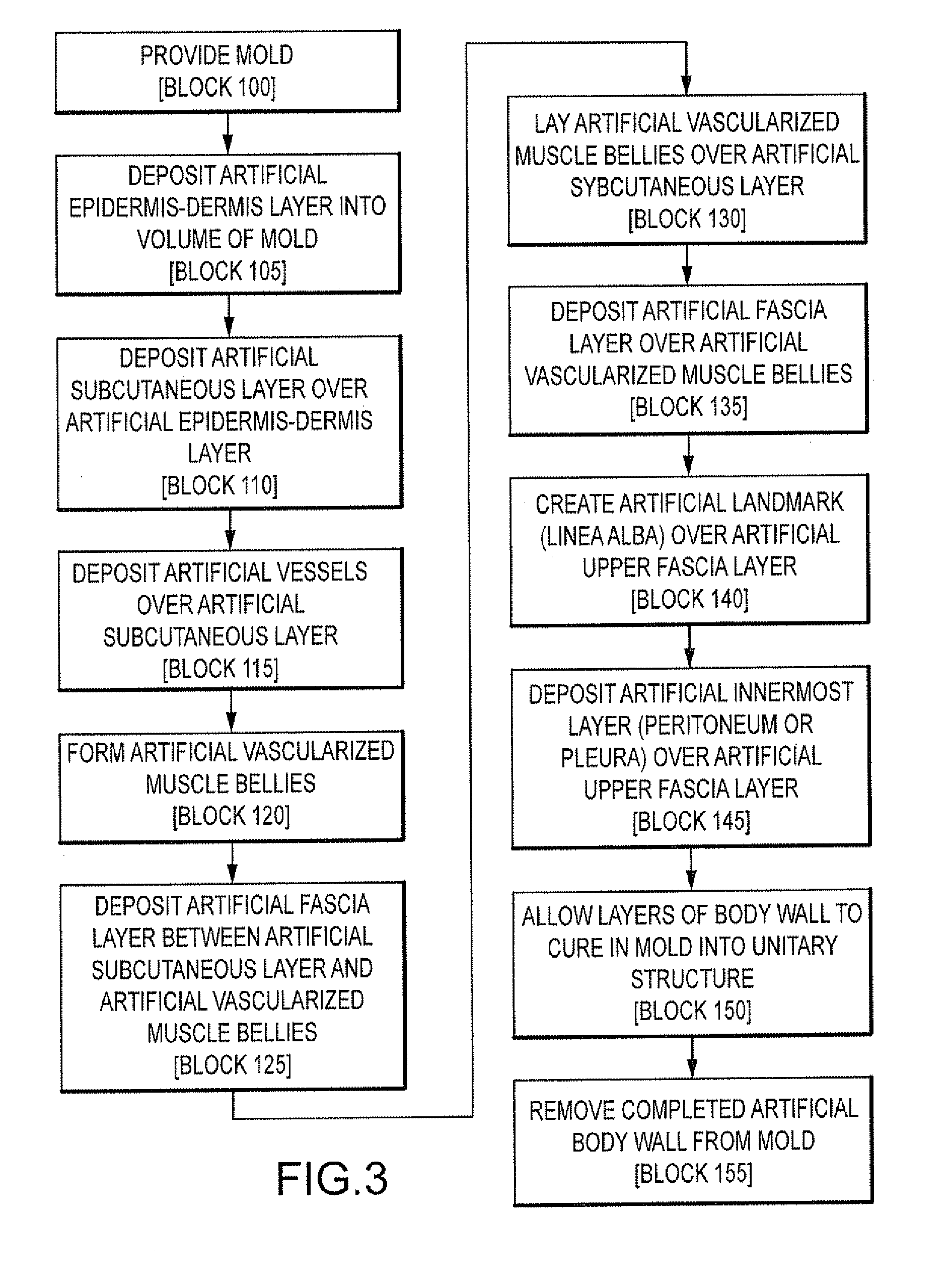 Simulated tissue, body lumens and body wall and methods of making same