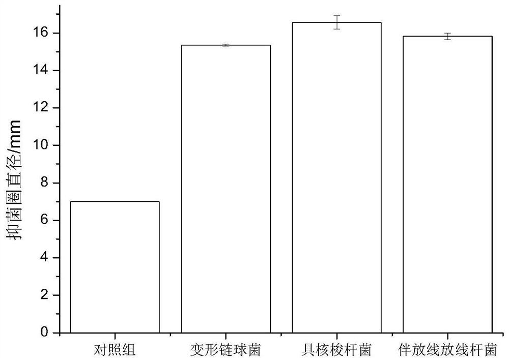 Application of lactobacillus rhamnosus in product for preventing periodontal disease