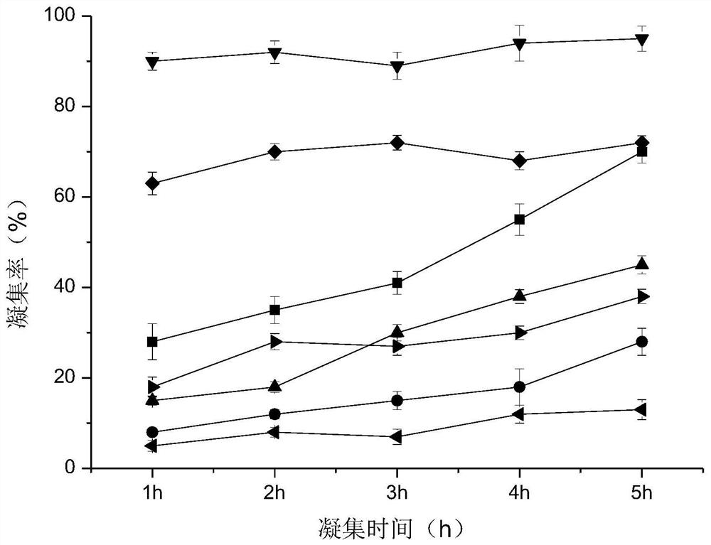 Application of lactobacillus rhamnosus in product for preventing periodontal disease