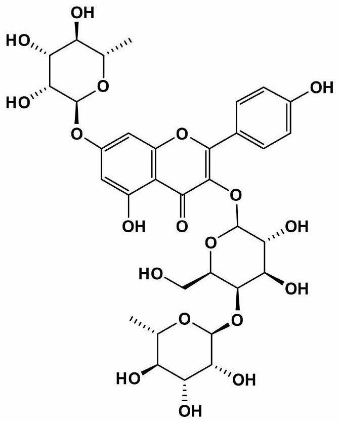 Method for evaluating authenticity of robinia pseudoacacia honey and application of method in adulteration identification