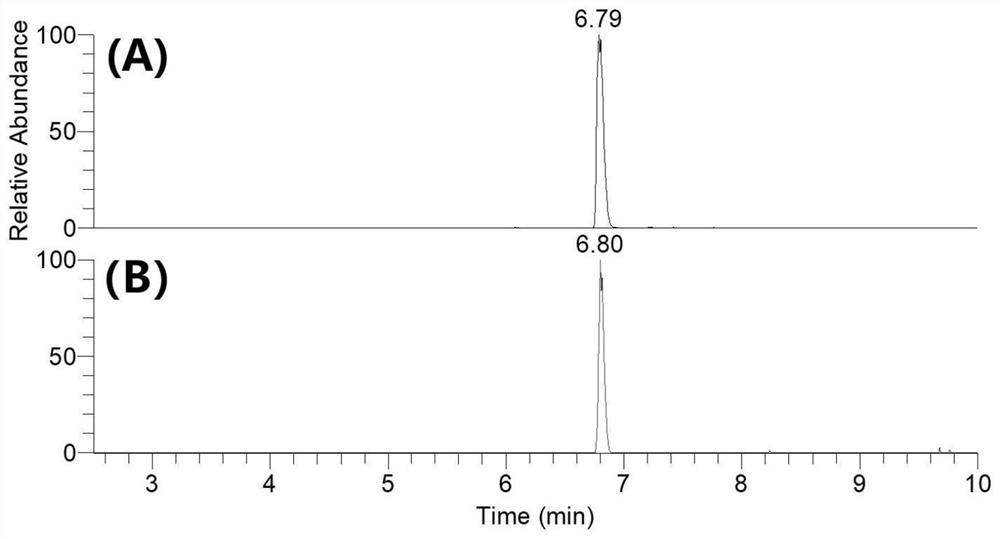 Method for evaluating authenticity of robinia pseudoacacia honey and application of method in adulteration identification