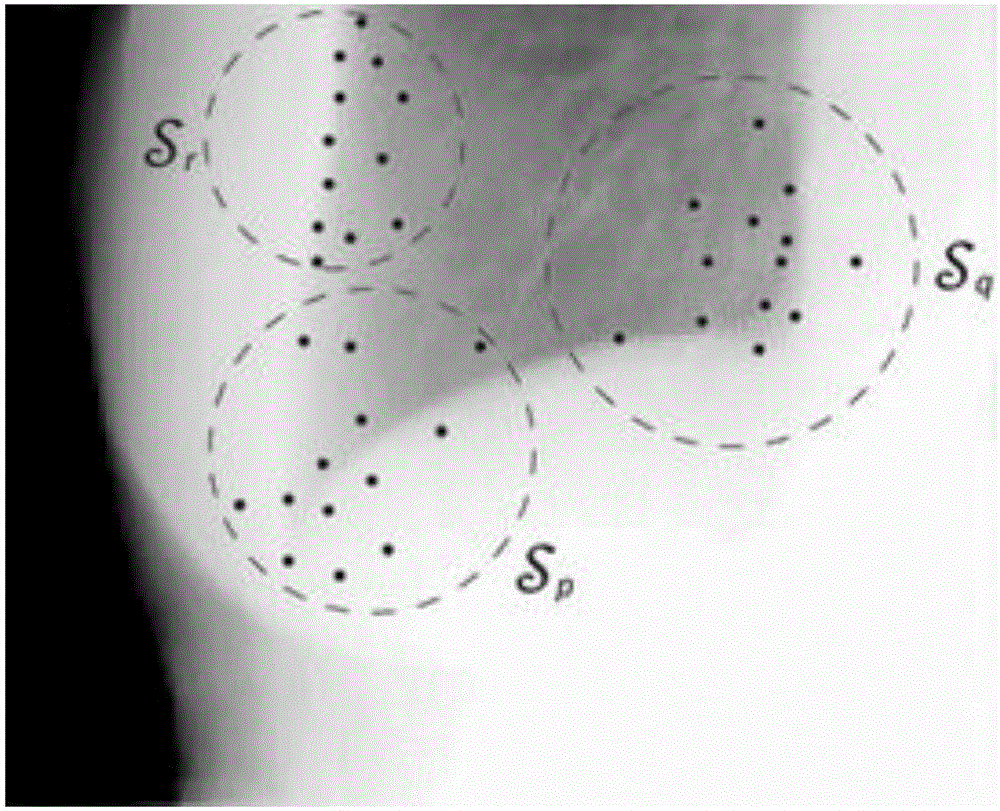 An efficient medical image segmentation method based on game framework