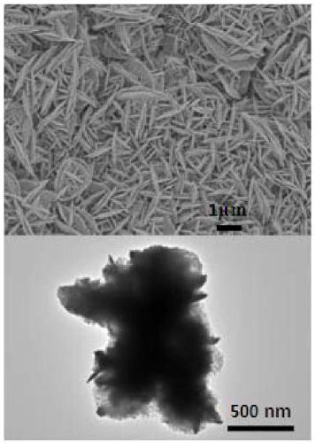 Preparation method and application of Ag nanosheet SERS substrate packed on aluminum foil