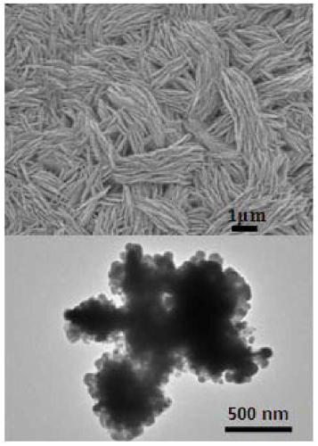 Preparation method and application of Ag nanosheet SERS substrate packed on aluminum foil