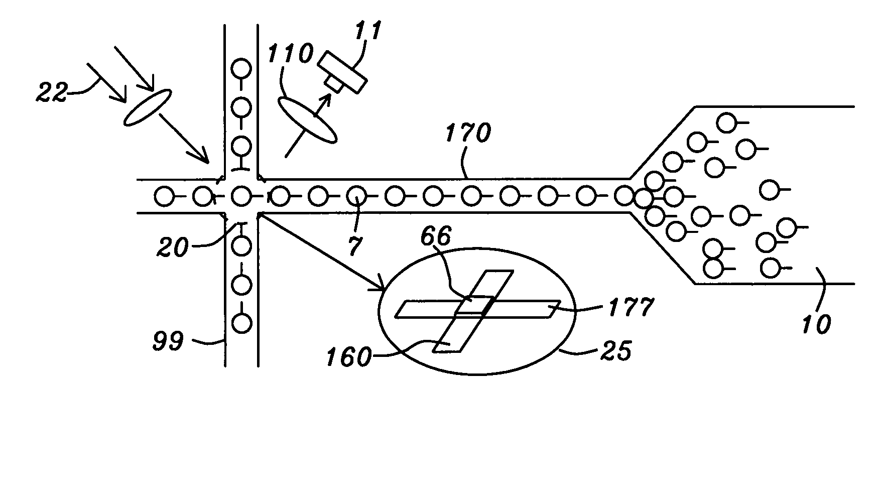 Guided transport of magnetically labeled biological molecules and cells