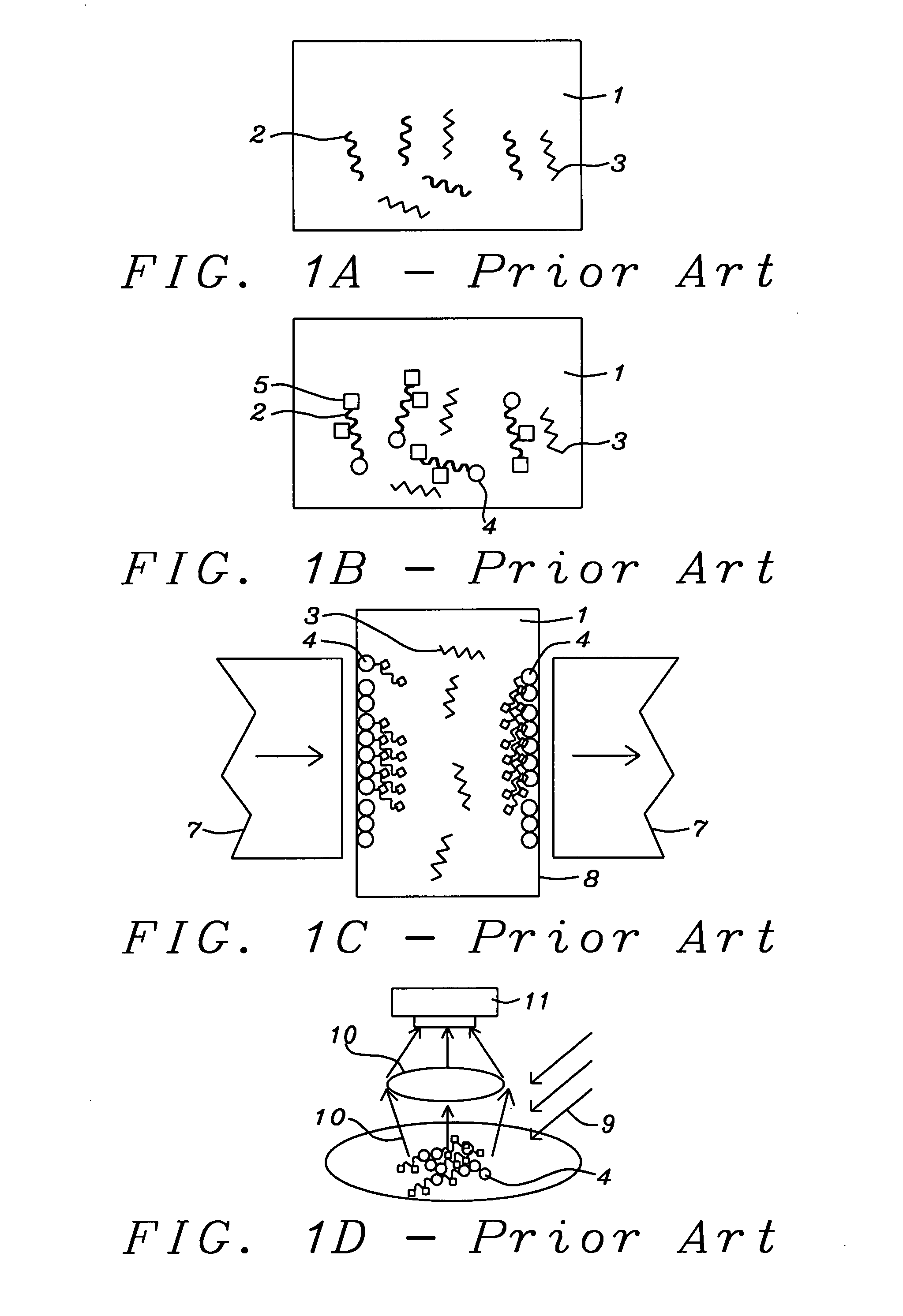 Guided transport of magnetically labeled biological molecules and cells