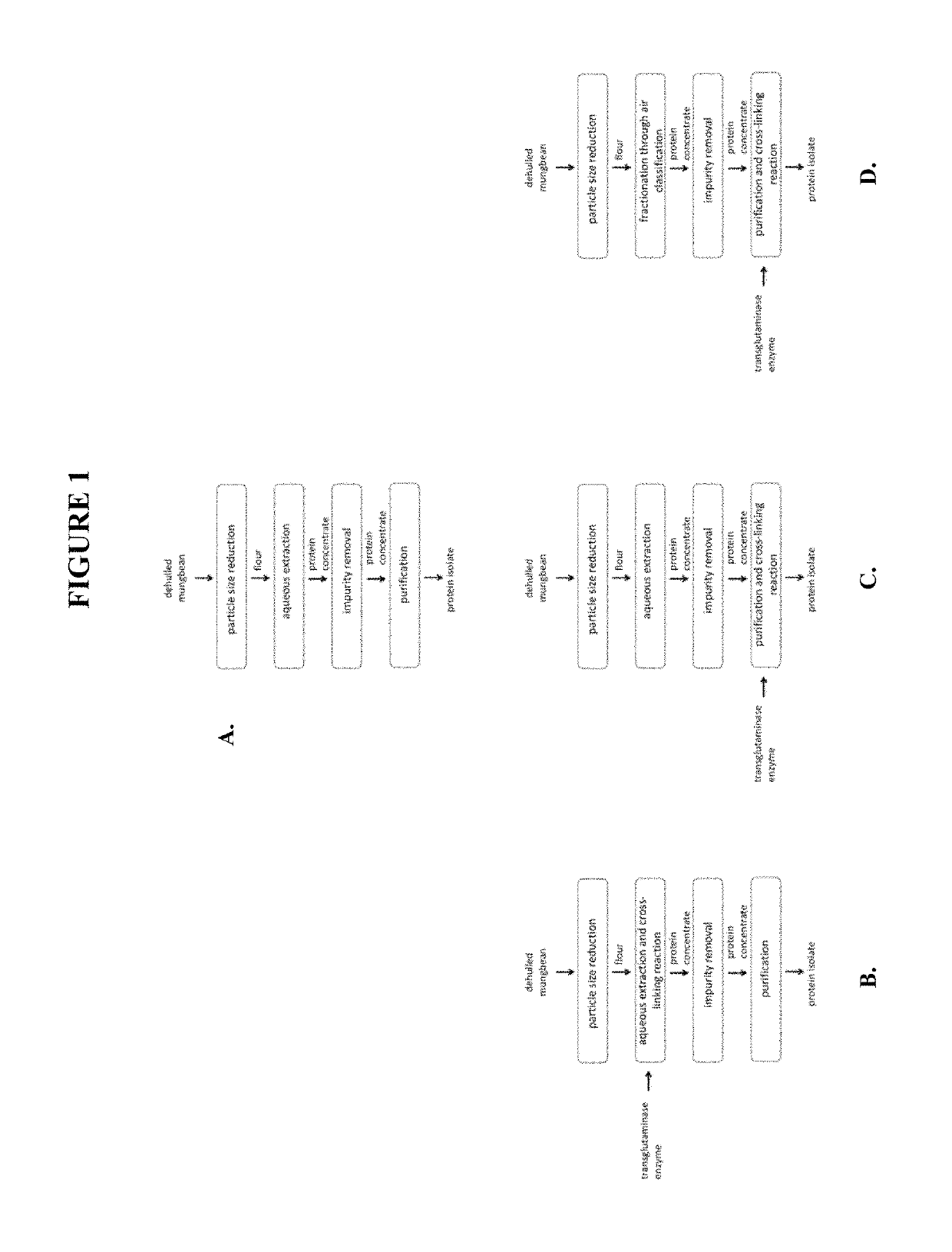 Functional mung bean-derived compositions