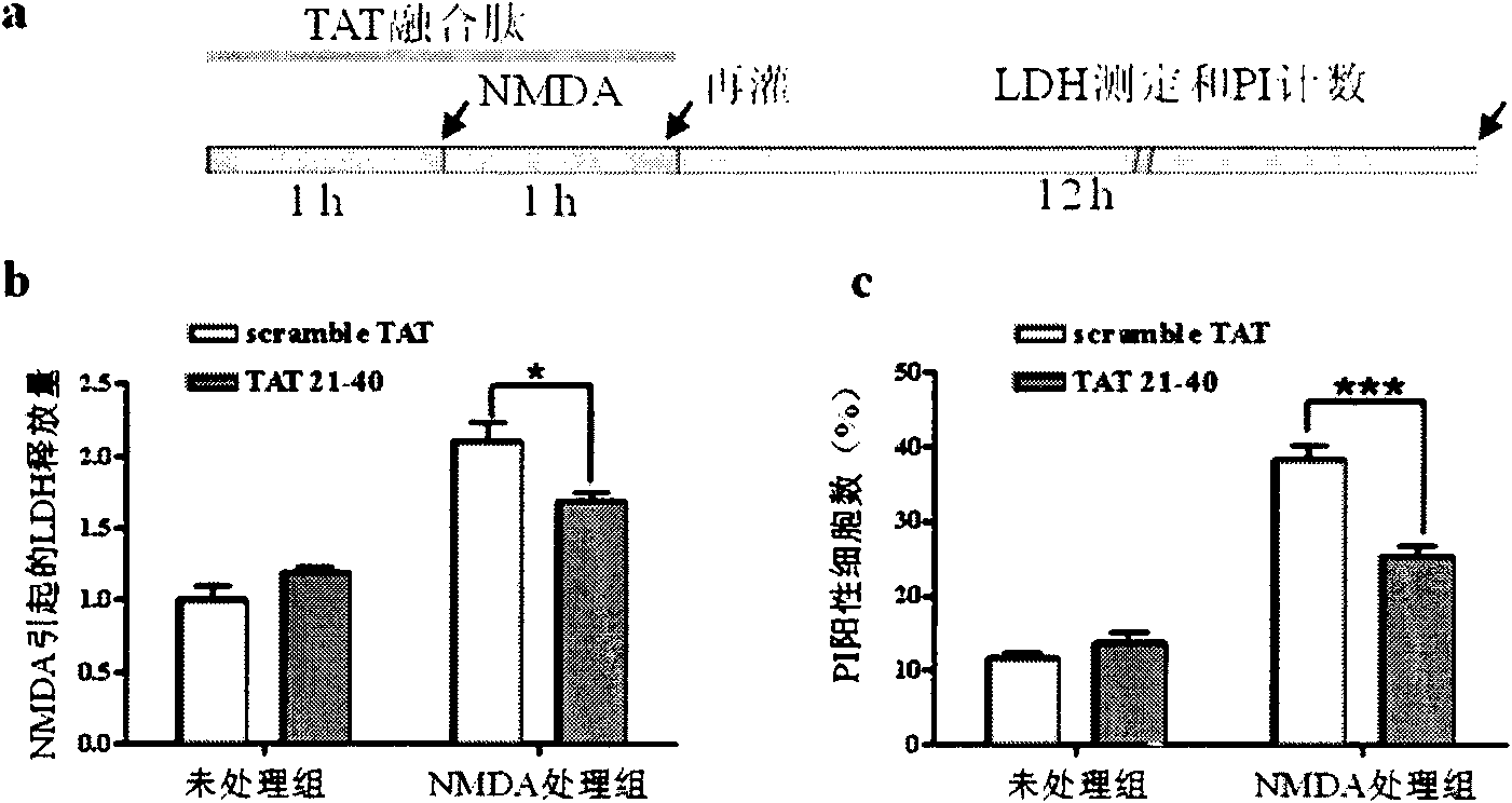 Polypeptide capable of inhibiting excitable and toxic damages and use thereof