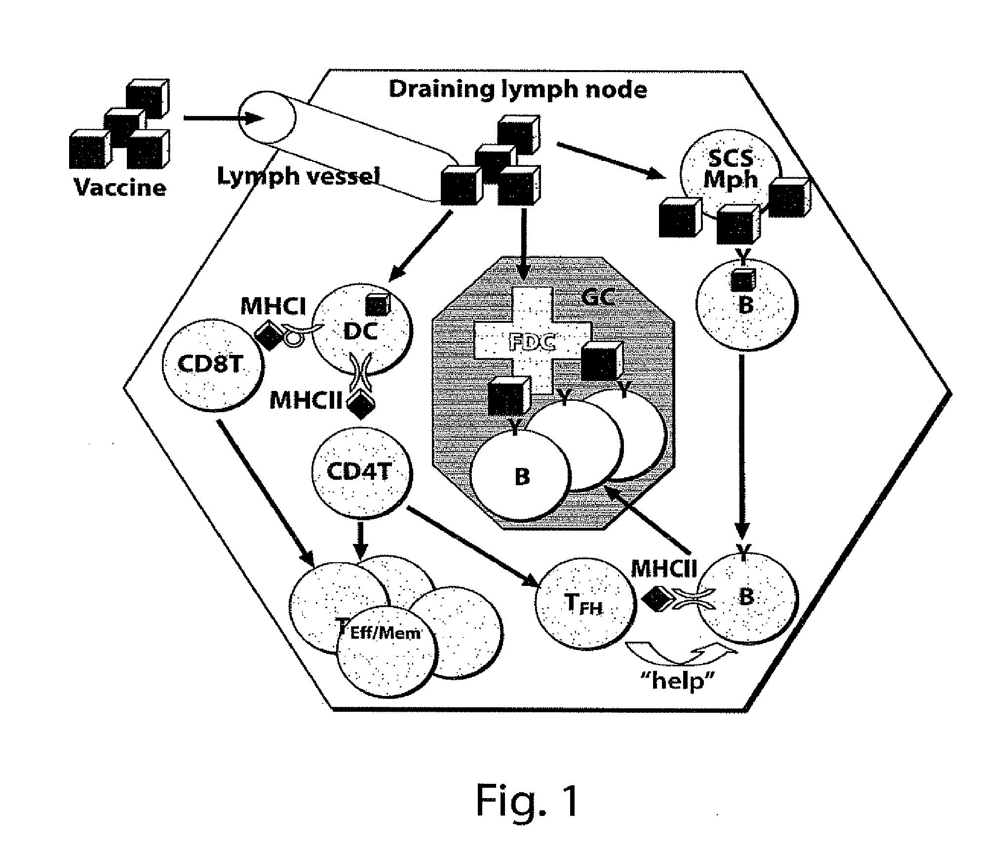 Adjuvant incorporation in immunonanotherapeutics