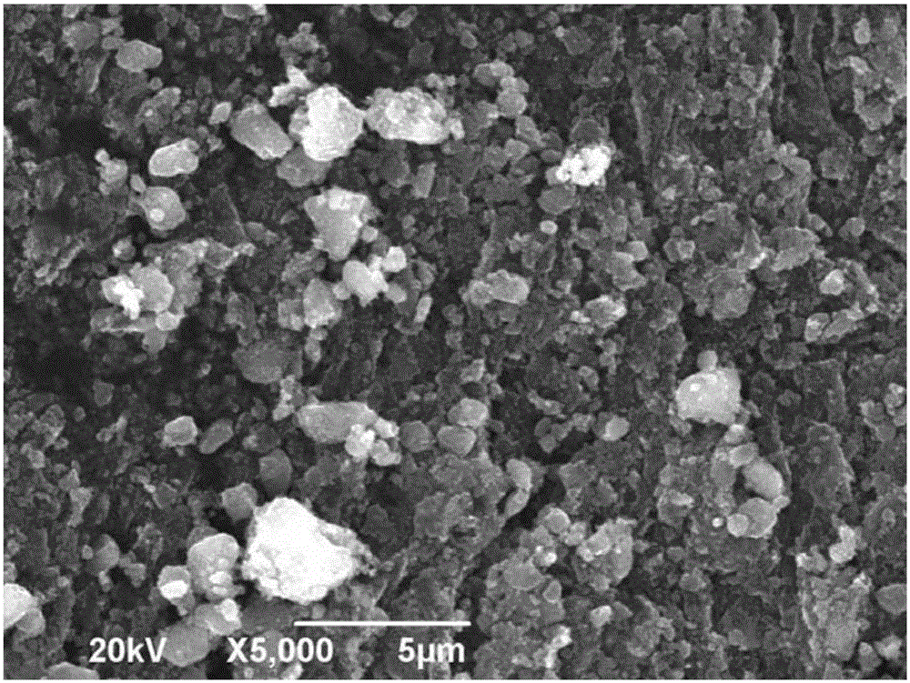 Lithium ion battery anode material Li2Mn1-xMgxSiO4/C and preparation method thereof