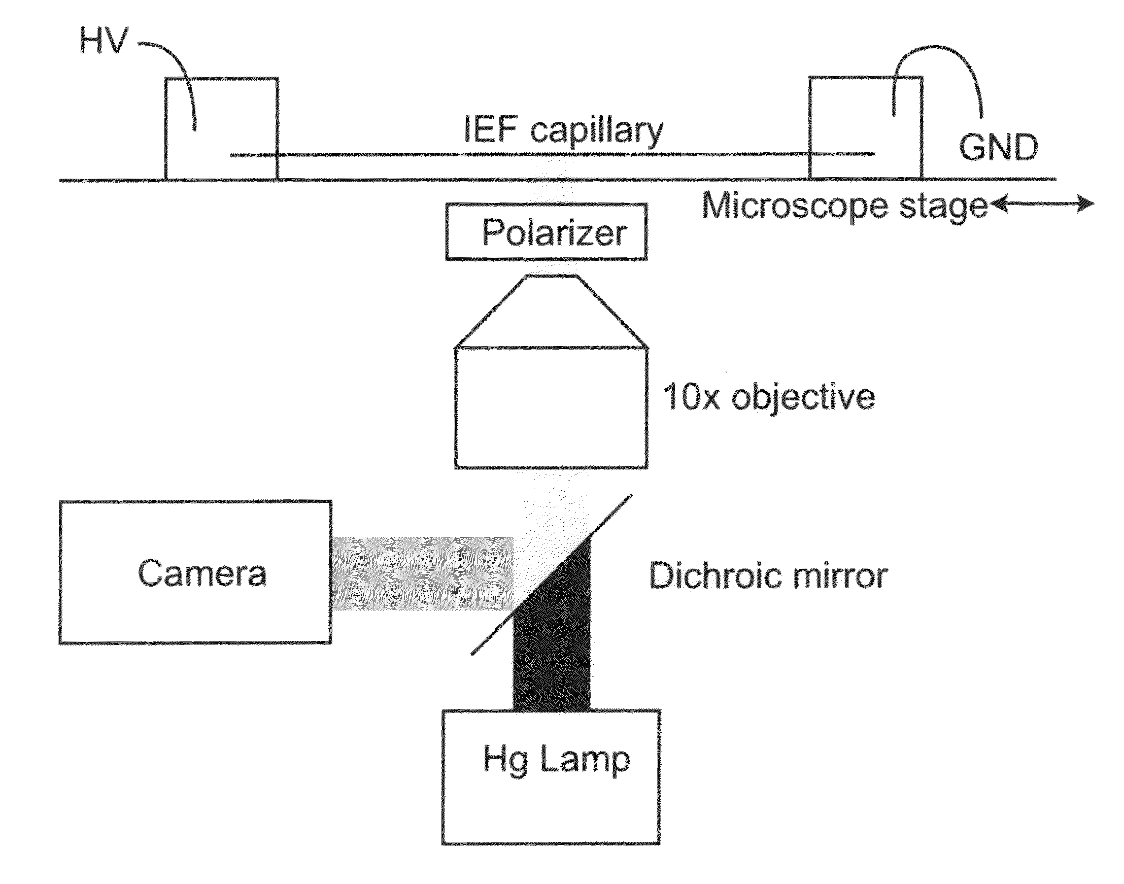 Method of detecting analyte-biomolecule interactions