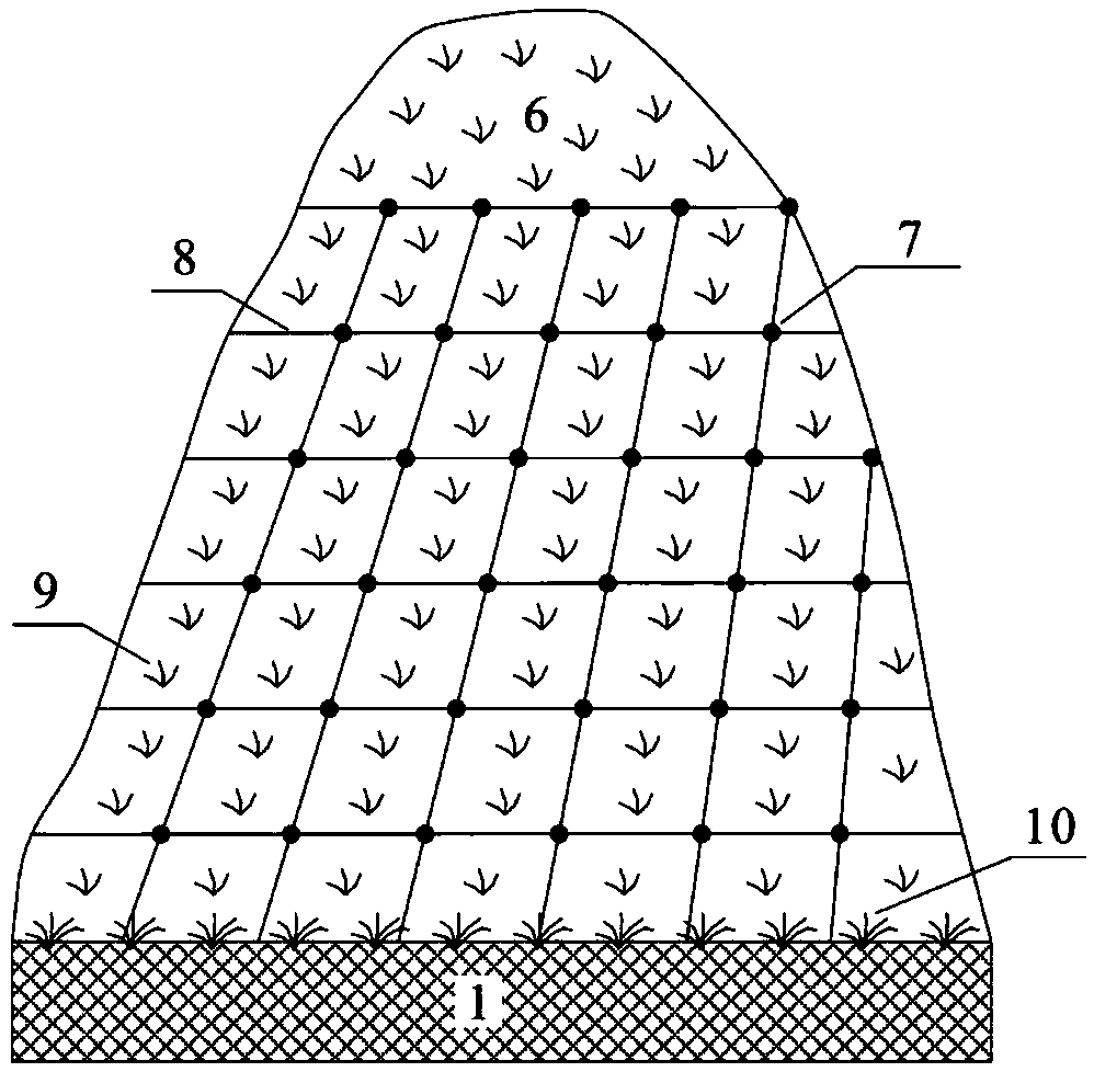 Slope reinforcement and ecological repair technology taking iron tailings as aggregate